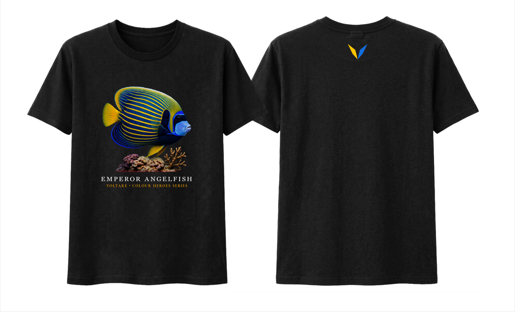 Front and back views of black Voltare Emperor Angelfish Colour Hero T-shirt with blue-and-yellow fish artwork and matching yellow-and-blue Voltare V back logo