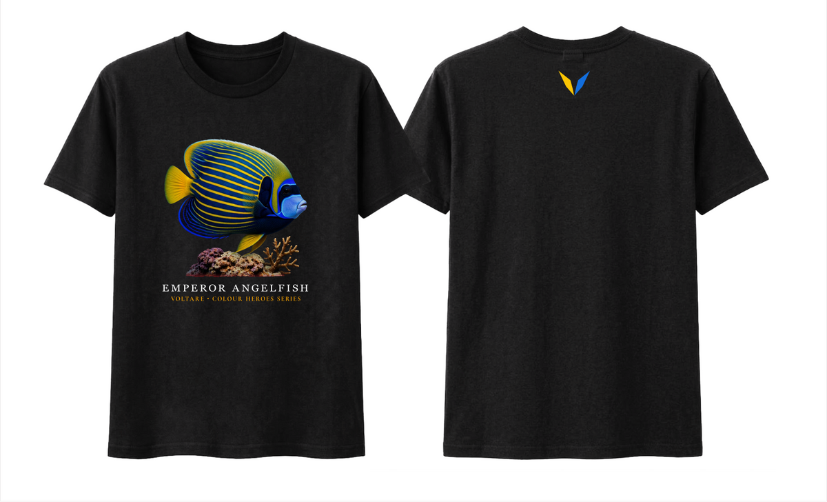 Front and back views of black Voltare Emperor Angelfish Colour Hero T-shirt with blue-and-yellow fish artwork and matching yellow-and-blue Voltare V back logo