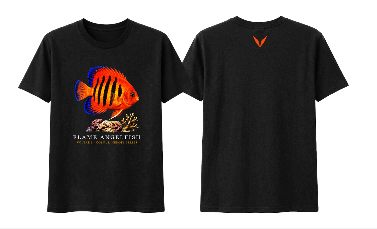 Front and back views of black Voltare Flame Angelfish Colour Hero T-shirt with orange fish artwork and matching orange Voltare V back logo