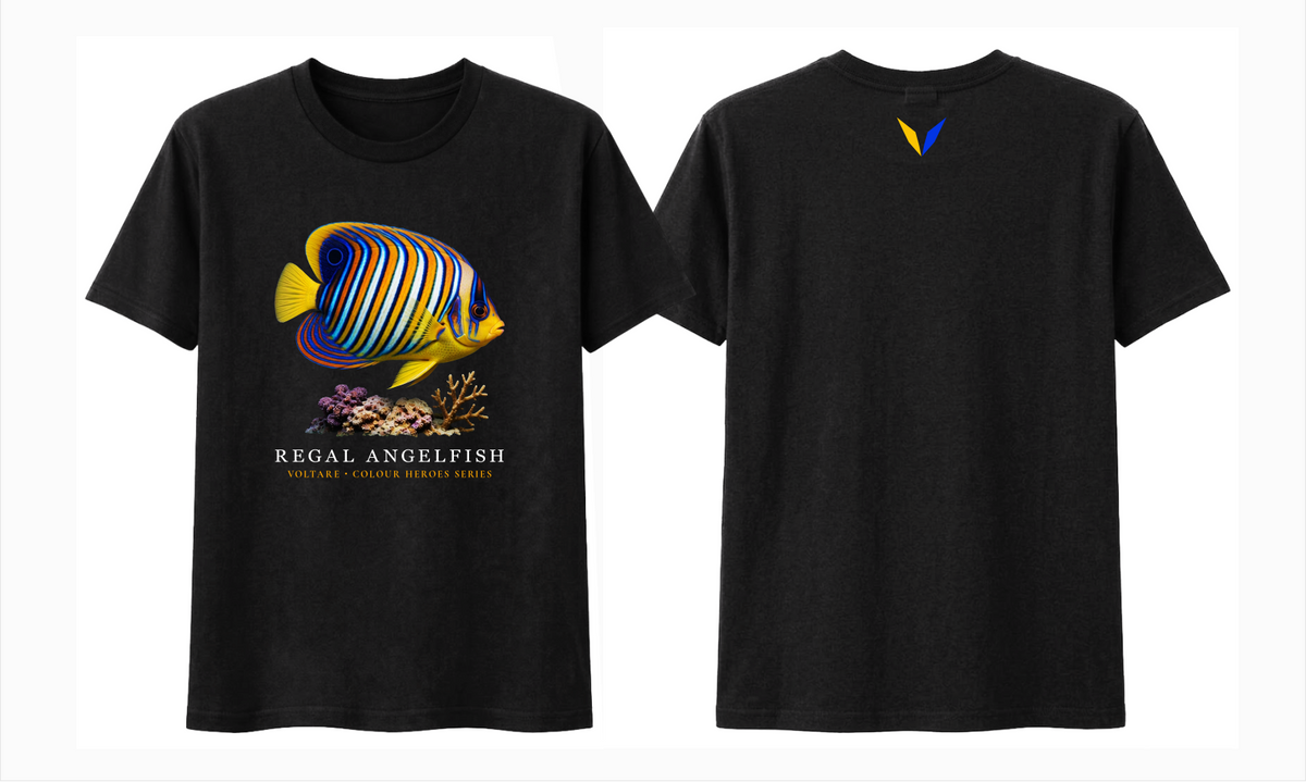 Front and back views of black Voltare Regal Angelfish Colour Hero T-shirt with colourful striped fish artwork and matching yellow-and-blue Voltare V back logo