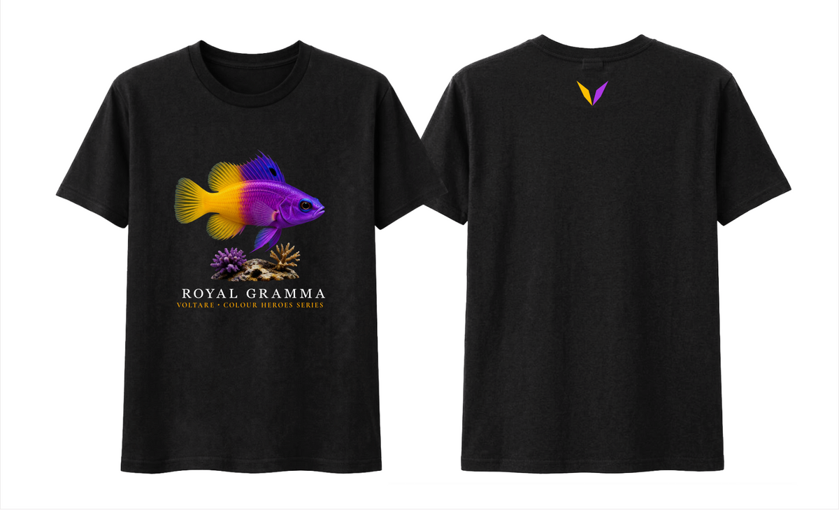  Front and back views of black Voltare Royal Gramma Colour Hero T-shirt with purple-and-yellow fish artwork and matching Voltare V back logo