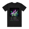 Front of Voltare Aurora Australis black tee with green and purple southern lights reflected in water between snowy mountains, aurora-facts panel and lettering