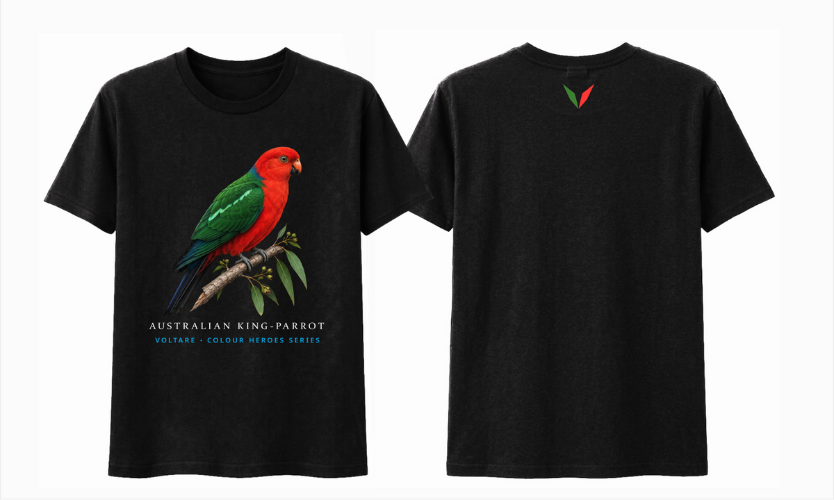 Combined front and back preview of Voltare Black Australian King-Parrot T-shirt with red-and-green bird artwork and a green-and-red Voltare V.