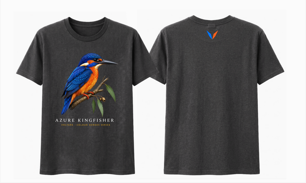 Combined front and back preview of Voltare Charcoal Azure Kingfisher T-shirt with blue-and-orange bird artwork and a blue-and-orange Voltare V.