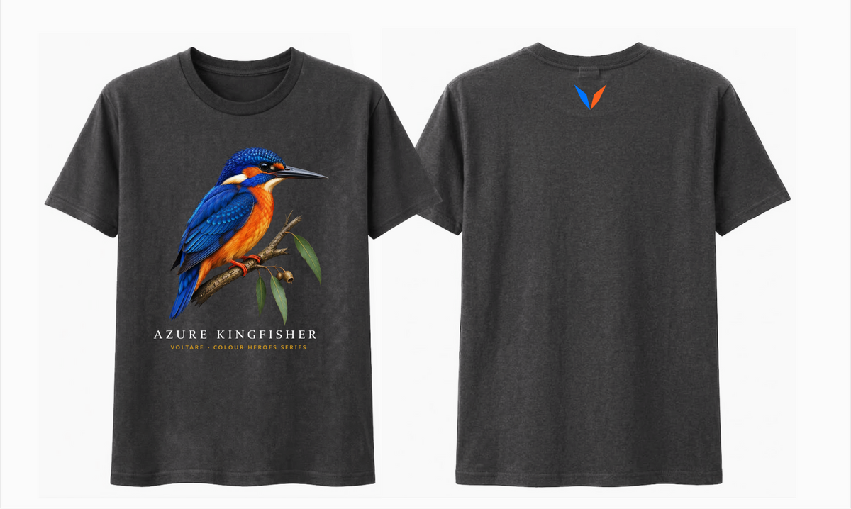Combined front and back preview of Voltare Charcoal Azure Kingfisher T-shirt with blue-and-orange bird artwork and a blue-and-orange Voltare V.