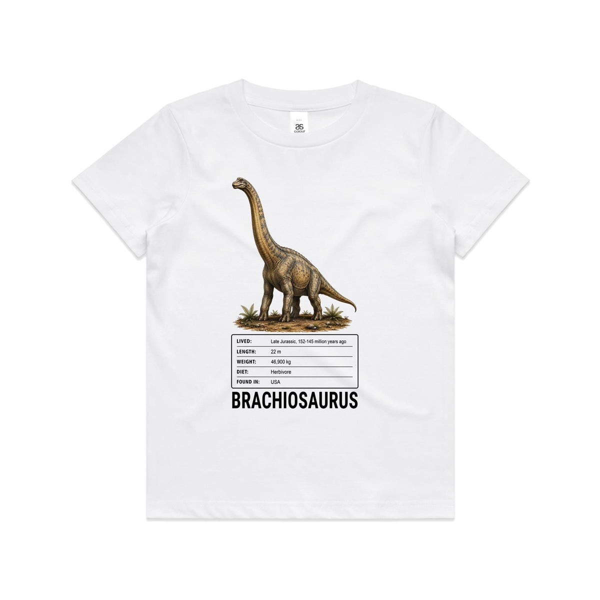 White Voltare kids tee featuring a golden-brown and grey long-necked Brachiosaurus, rocky ground, green ferns, a dinosaur facts panel and black Brachiosaurus lettering.