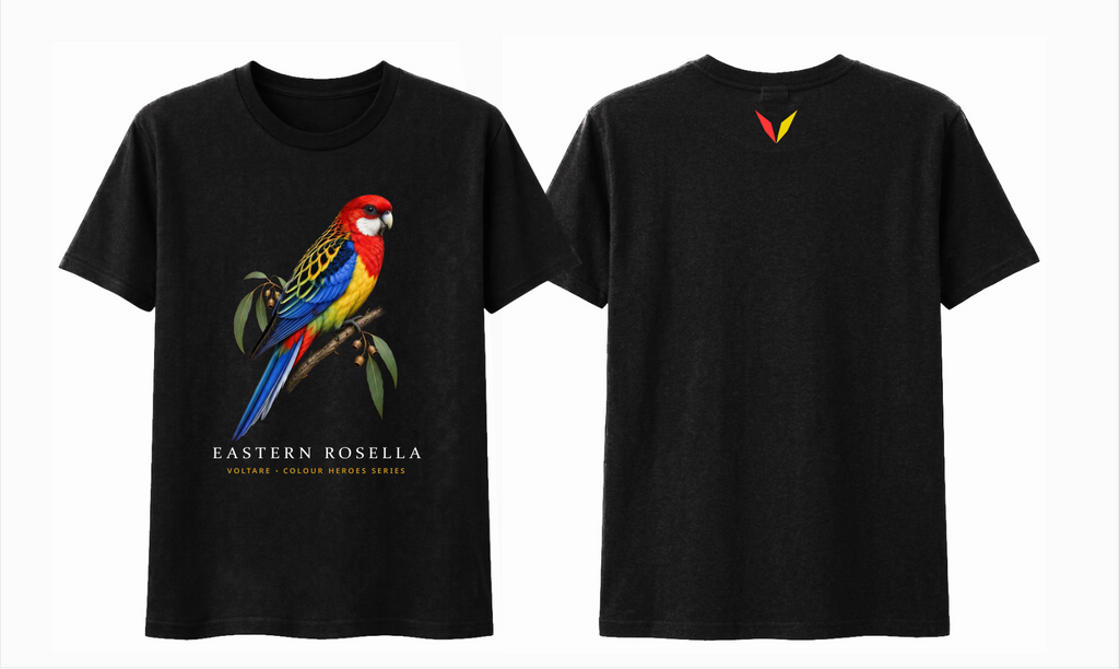Combined front and back preview of Voltare Black Eastern Rosella T-shirt with colourful bird artwork and a red-and-yellow Voltare V.