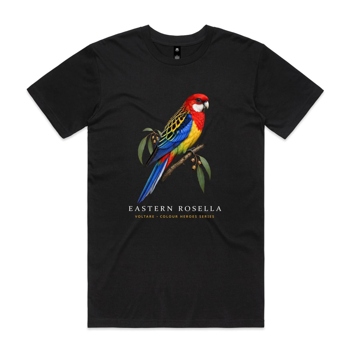 Front of Voltare Black Eastern Rosella T-shirt featuring a colourful parrot perched on a eucalyptus branch with leaves and gum nuts.