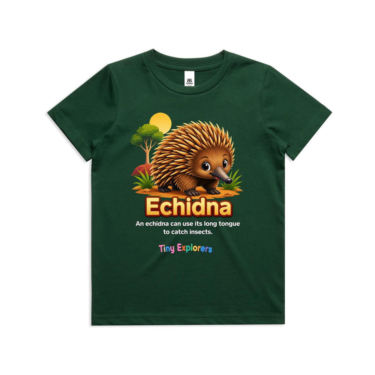 Front of Voltare Echidna Tiny Explorers kids tee in Forest Green with echidna artwork and insect-catching fact
