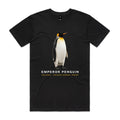 Front of the black Voltare Emperor Penguin Colour Heroes Worldwide T-shirt with a standing penguin, white chest and golden-yellow neck markings.