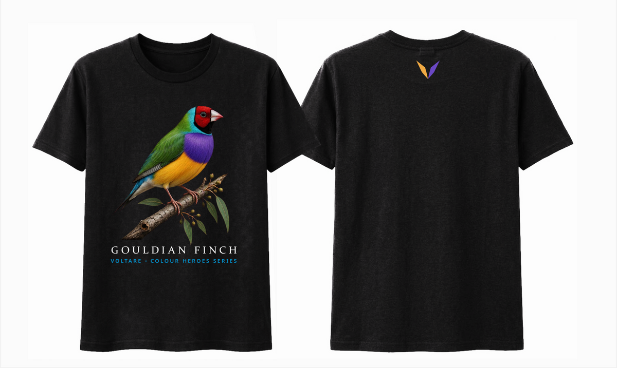 Combined front and back preview of Voltare Black Gouldian Finch T-shirt with colourful bird artwork and a gold-and-purple Voltare V.