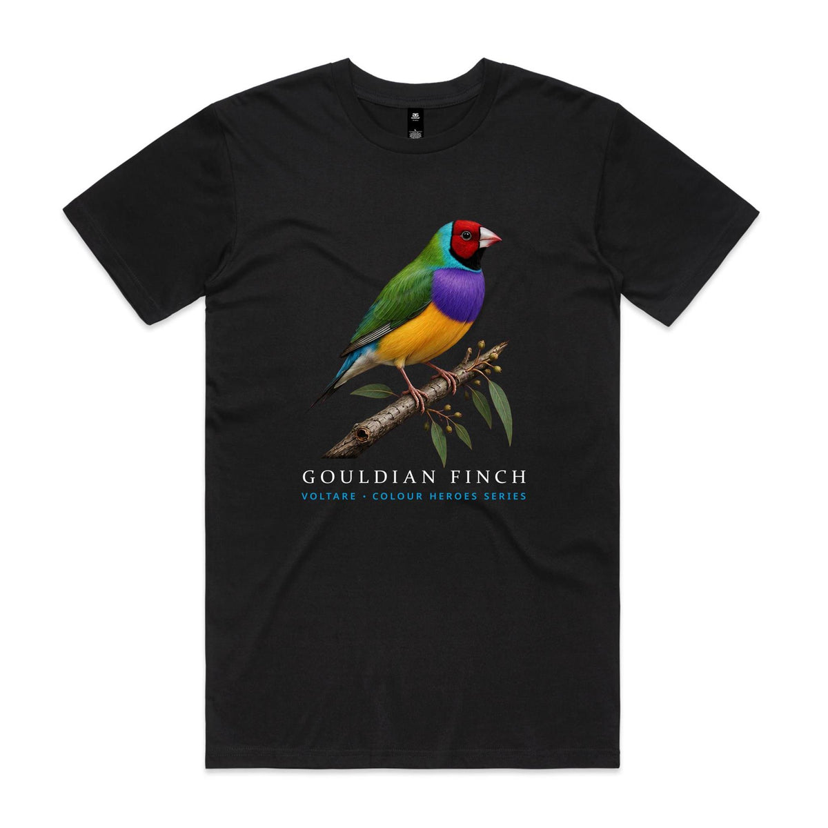 Front of Voltare Black Gouldian Finch T-shirt featuring a colourful finch perched on a eucalyptus branch.