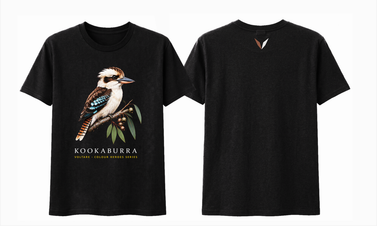 Combined front and back preview of Voltare Black Kookaburra T-shirt with detailed bird artwork and a brown-and-white Voltare V.