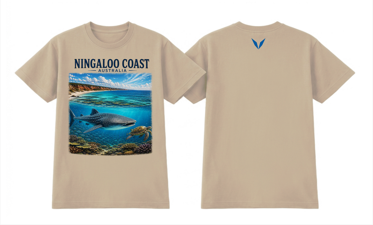 Front and back preview of the Ecru Voltare Ningaloo Coast Whale Shark Reef tee with whale shark, sea turtle and coral artwork and an ocean-blue back V

