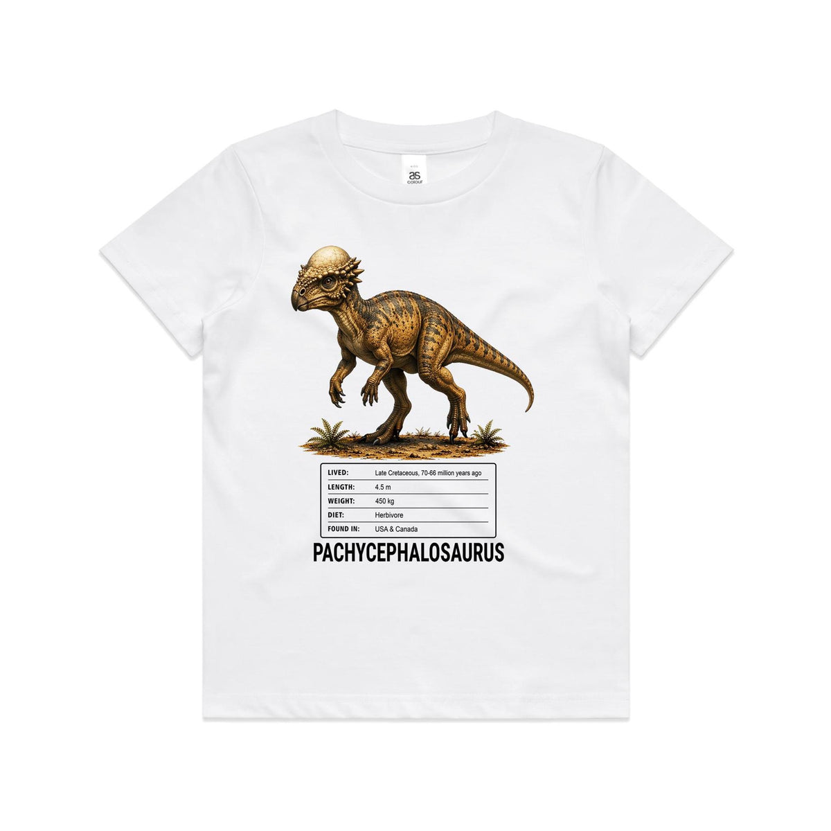 White Voltare kids tee with golden-brown Pachycephalosaurus artwork, a pale domed head, dinosaur facts panel and black Pachycephalosaurus lettering on the front.