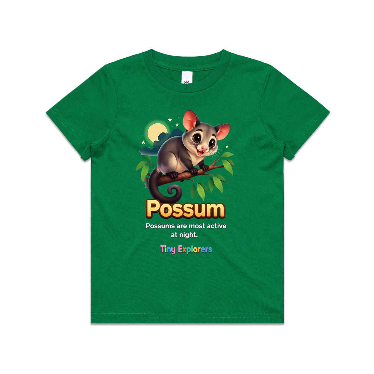 Front of Voltare Kelly Green Possum Tiny Explorers kids T-shirt with a grey possum on a leafy branch, moon, stars and a wildlife fact panel.