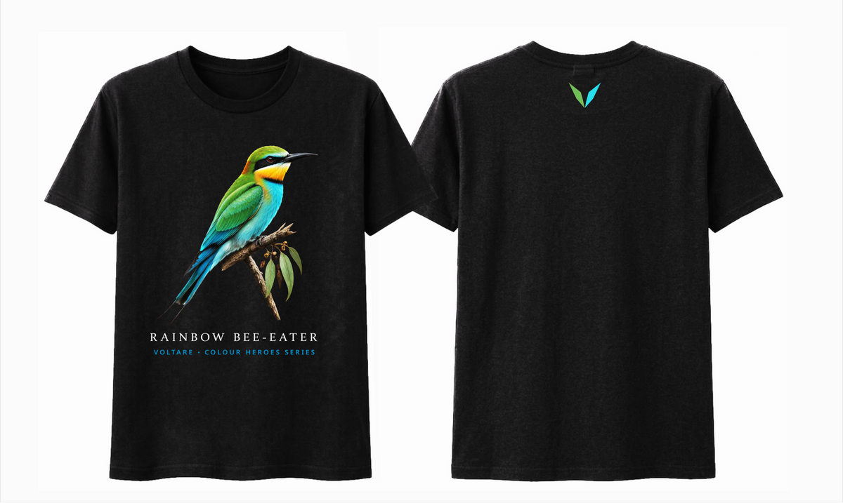 Combined front and back preview of Voltare Black Rainbow Bee-Eater T-shirt with colourful bird artwork and a green-and-turquoise Voltare V.
