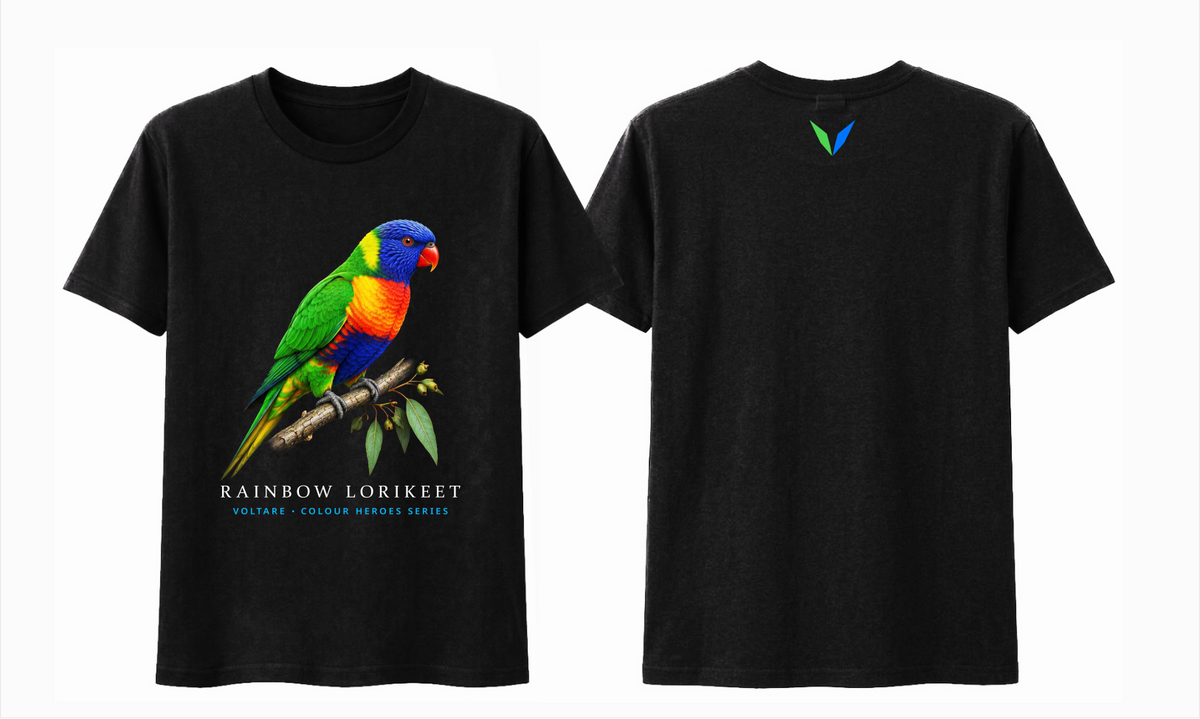 Combined front and back preview of Voltare Black Rainbow Lorikeet T-shirt with colourful bird artwork and a green-and-blue Voltare V.
