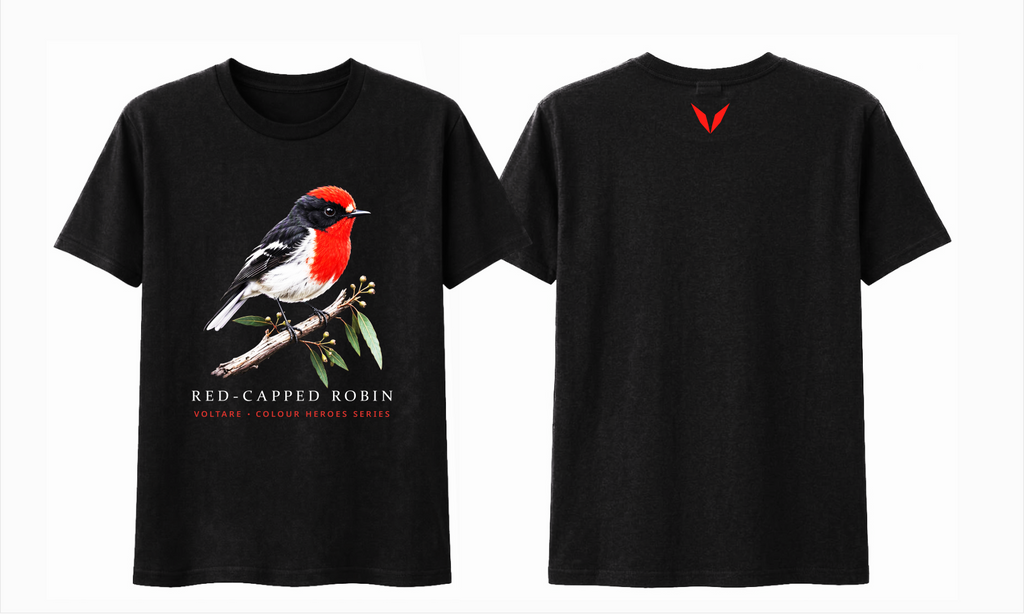 Combined front and back preview of Voltare Black Red-Capped Robin T-shirt with red, black-and-white bird artwork and a red Voltare V.

