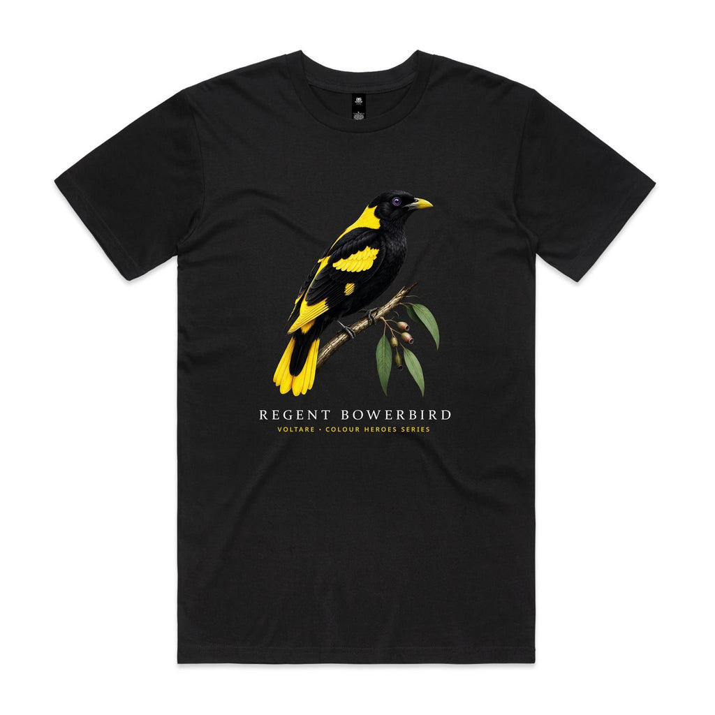 Front of Voltare Black Regent Bowerbird T-shirt featuring a black-and-yellow bird perched on a eucalyptus branch.