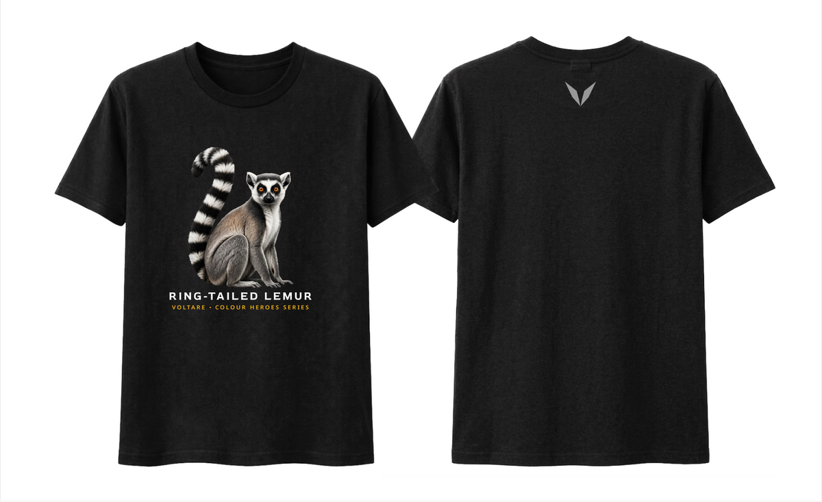 Front and back preview of the black Voltare Ring-tailed Lemur Colour Heroes Worldwide T-shirt, with lemur artwork on the front and a grey Voltare V on the back.