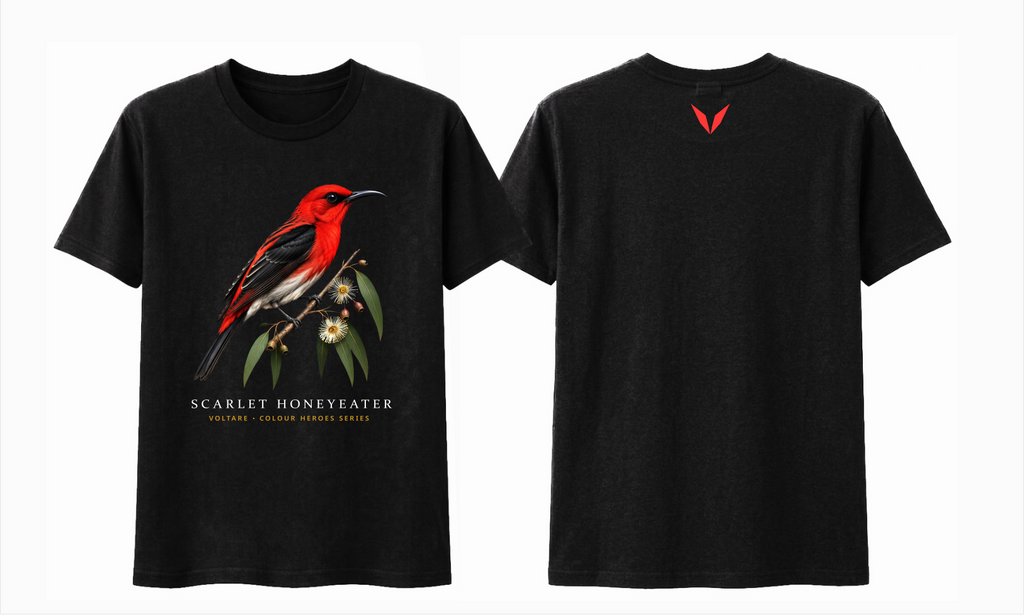 Combined front and back preview of Voltare Black Scarlet Honeyeater T-shirt with red bird artwork and a red Voltare V.
