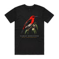 Front of Voltare Black Scarlet Honeyeater T-shirt featuring a red-and-black bird perched on a eucalyptus branch with cream blossoms.