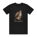 Front of the black Voltare Spotted Harrier Sky Hunters T-shirt with an illustrated bird featuring a yellow eye, brown wings and a pale spotted chest against a warm amber backdrop.