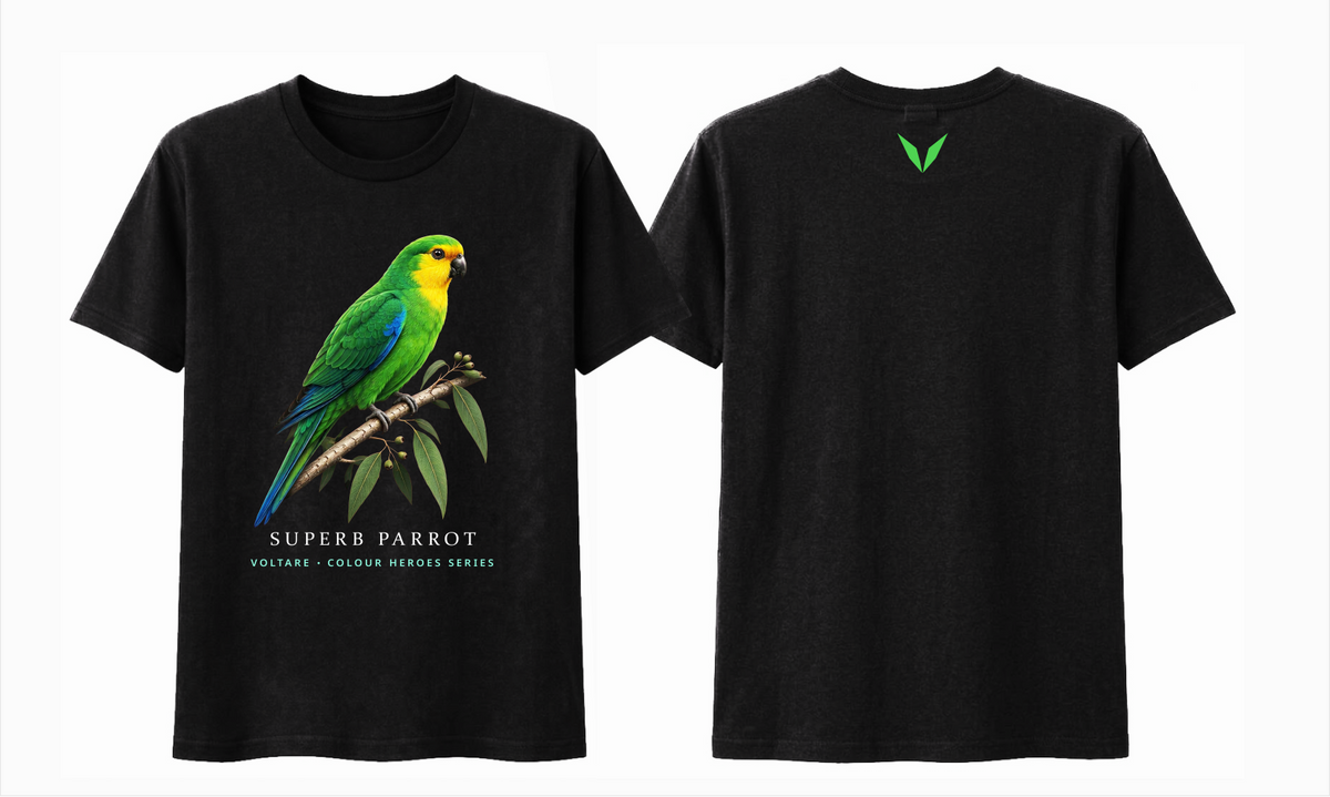 Combined front and back preview of Voltare Black Superb Parrot T-shirt with colourful bird artwork and green Voltare V.