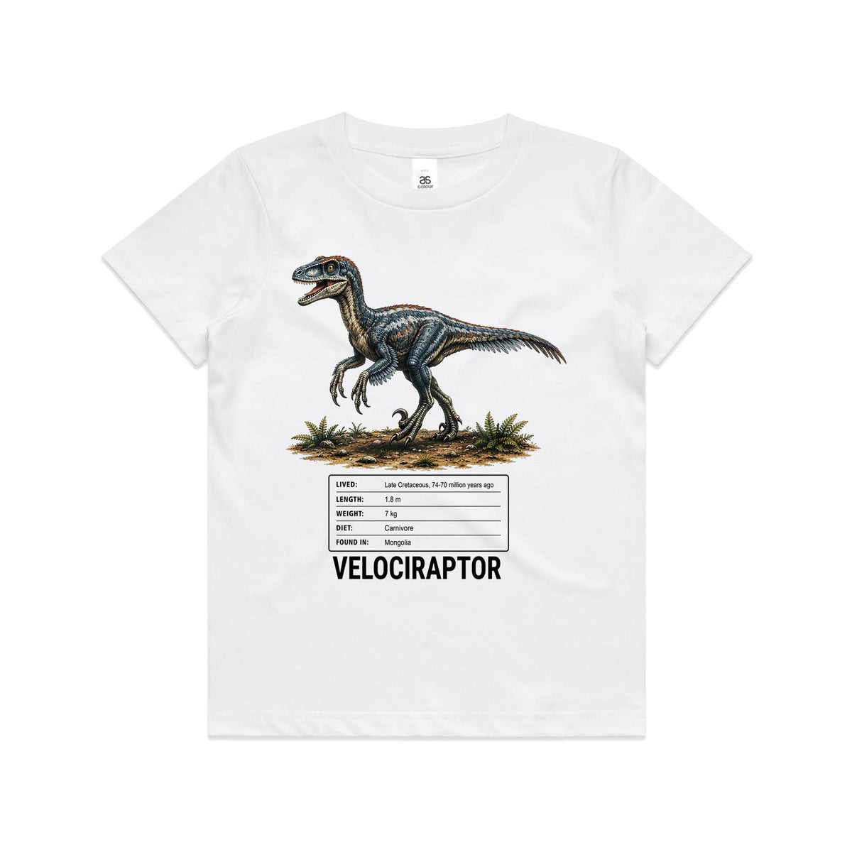 White Voltare kids tee with blue-grey feathered Velociraptor artwork, a dinosaur facts panel and black Velociraptor lettering on the front.